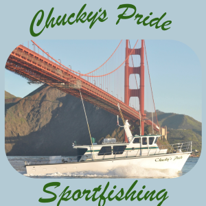 Chuckys pride